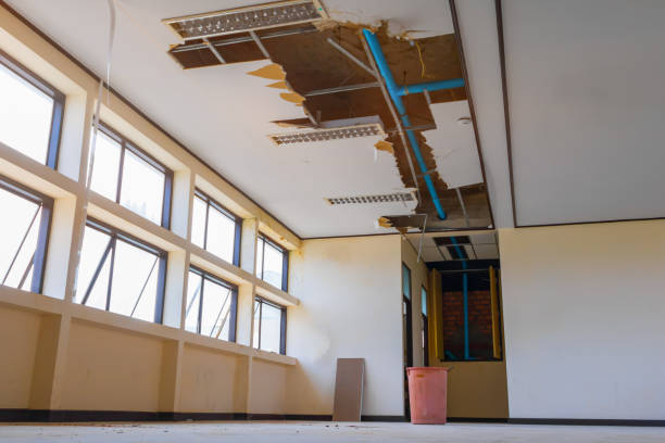 Best Water damage cleanup near me  in Parkland, WA