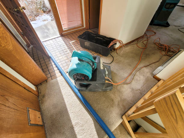 Best Residential water damage restoration  in Parkland, WA