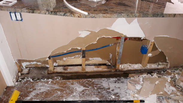 Best Flood restoration services  in Parkland, WA