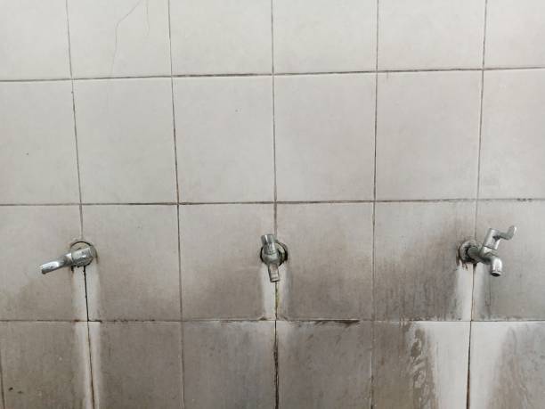 Best Mold removal after water damage  in Parkland, WA