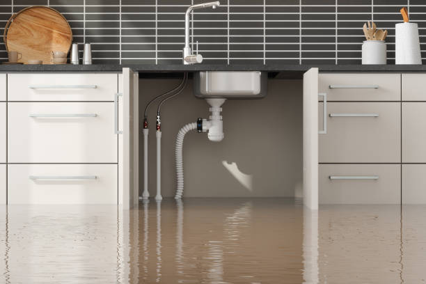 Best Flood restoration services  in Parkland, WA