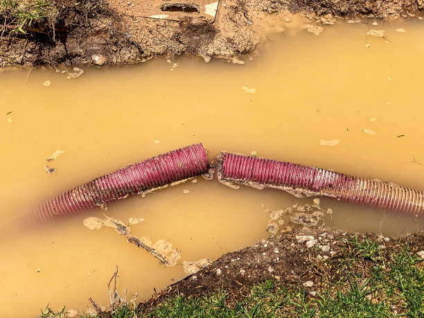 Best Water damage restoration near me  in Parkland, WA