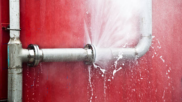 Best Flood restoration services  in Parkland, WA